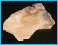 rsz_wtf_006[1].webp