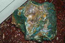 DSC_0018.webp