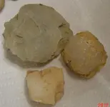DSC00643.webp