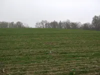 Kép 125.webp
