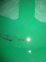 bloomington gold 2.webp