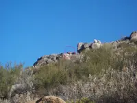 Lost Padre 009.webp
