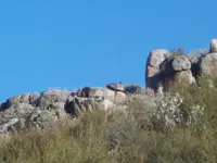 Lost Padre 010.webp