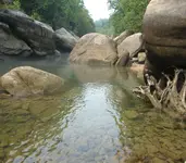 river462.webp