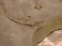 Sandstone_1.webp