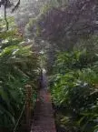 green Mountain.webp