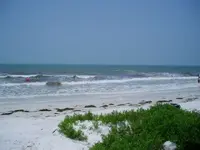 P1010001.webp