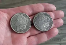 Silver Dollars.webp