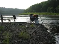IMG_0319_1.webp
