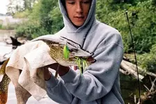 TurtleFlo2.webp