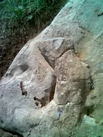 animal sign.webp