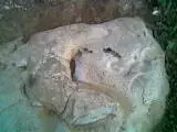 over view.webp