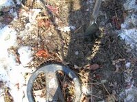 finds of 3-20-07 002.JPG