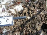 finds of 3-20-07 003.JPG