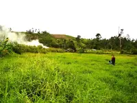 lphoto_01.webp