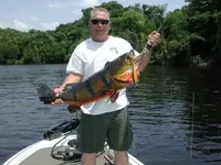 peacock_bass.webp
