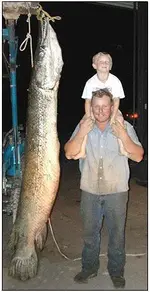 20040818_alligator_gar.webp