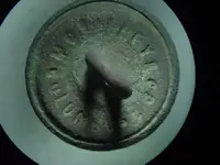 button back.webp