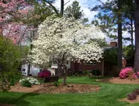 Spring07.webp