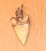 DSCF0078.webp