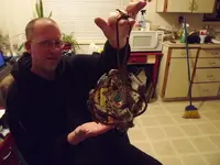 DSCF1336.webp