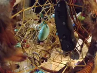 DSCF1348.webp