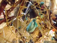 DSCF1351.webp