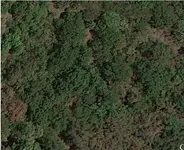 spot 1.webp