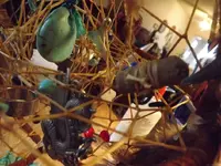 DSCF1353.webp