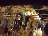 DSCF1357.webp