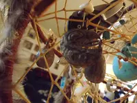 DSCF1361.webp