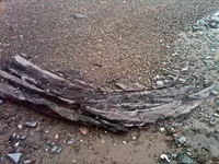 Keel.webp