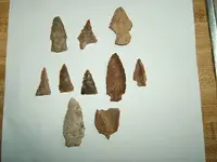 DSCF2648.webp