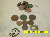 1214NUT.webp