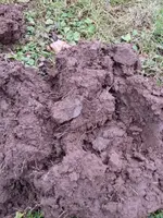 image-1845796266.webp