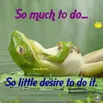 393072_330648503706142_390965055_n.webp