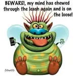 150904_331839196920406_719847051_n.webp