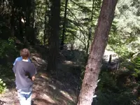 summersolstice2011005.webp