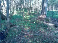 ForumRunner_20121208_042213.webp