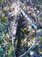 ForumRunner_20121208_042452.webp