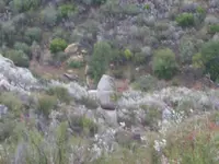 ALPHA ROCK 008.webp