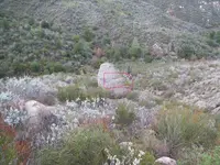 ALPHA ROCK 010.webp