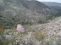 ALPHA ROCK 012.webp