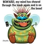 150904_331839196920406_719847051_n.webp