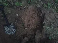 46330_1346868298.webp