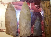 100_4135.webp