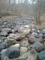9 mile creek 2.webp
