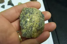 100_2516.webp