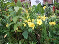 is.pics. 022.webp