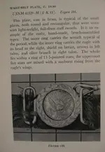 plate.webp